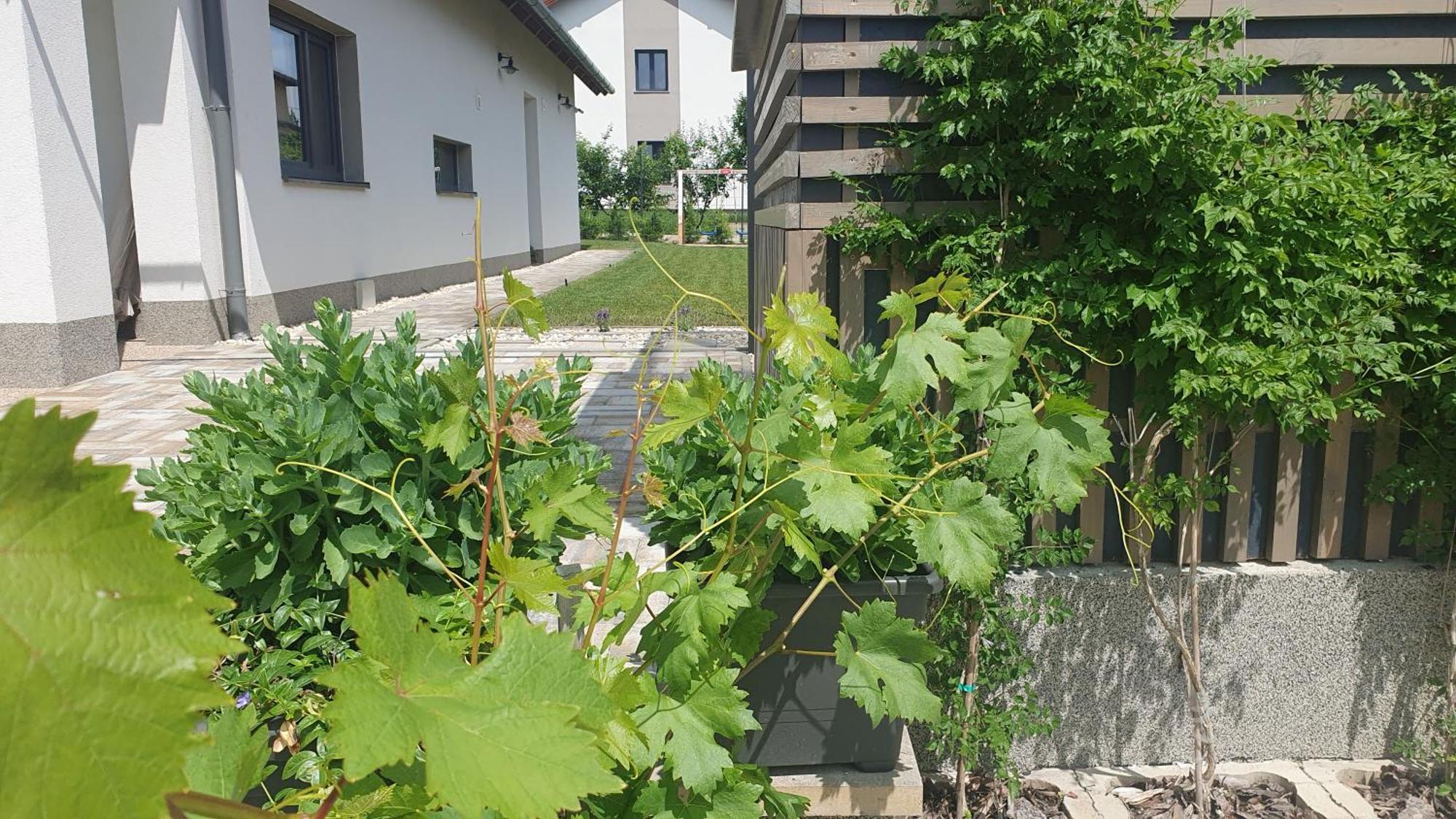 Relax Balaton Apartmanok Balatonfured Ngoại thất bức ảnh